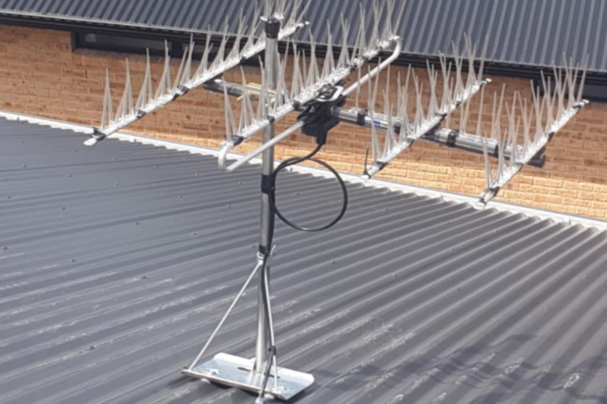 TV Antenna Setup